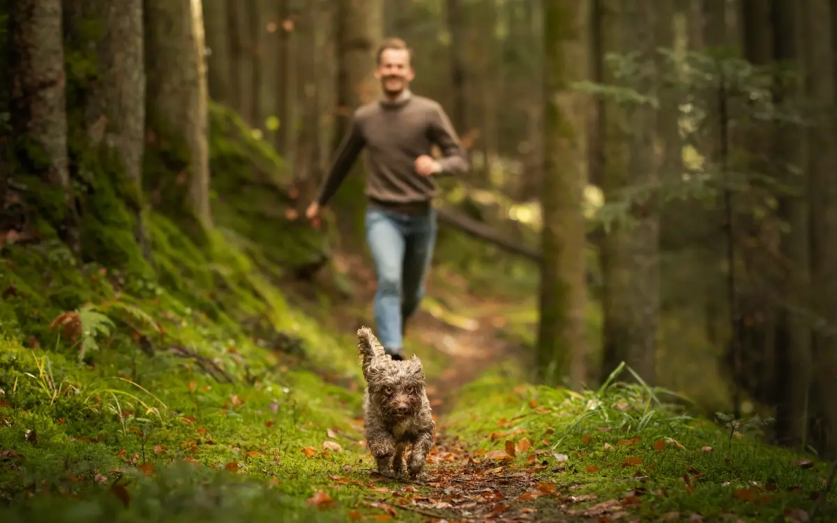 Ein Hund läuft auf einem Waldweg, ein Mann folgt ihm im Hintergrund.