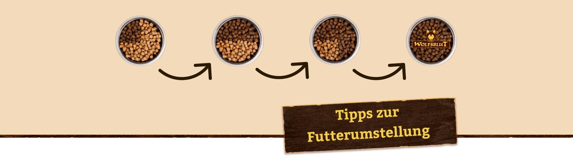 Futterumstellung beim Hund