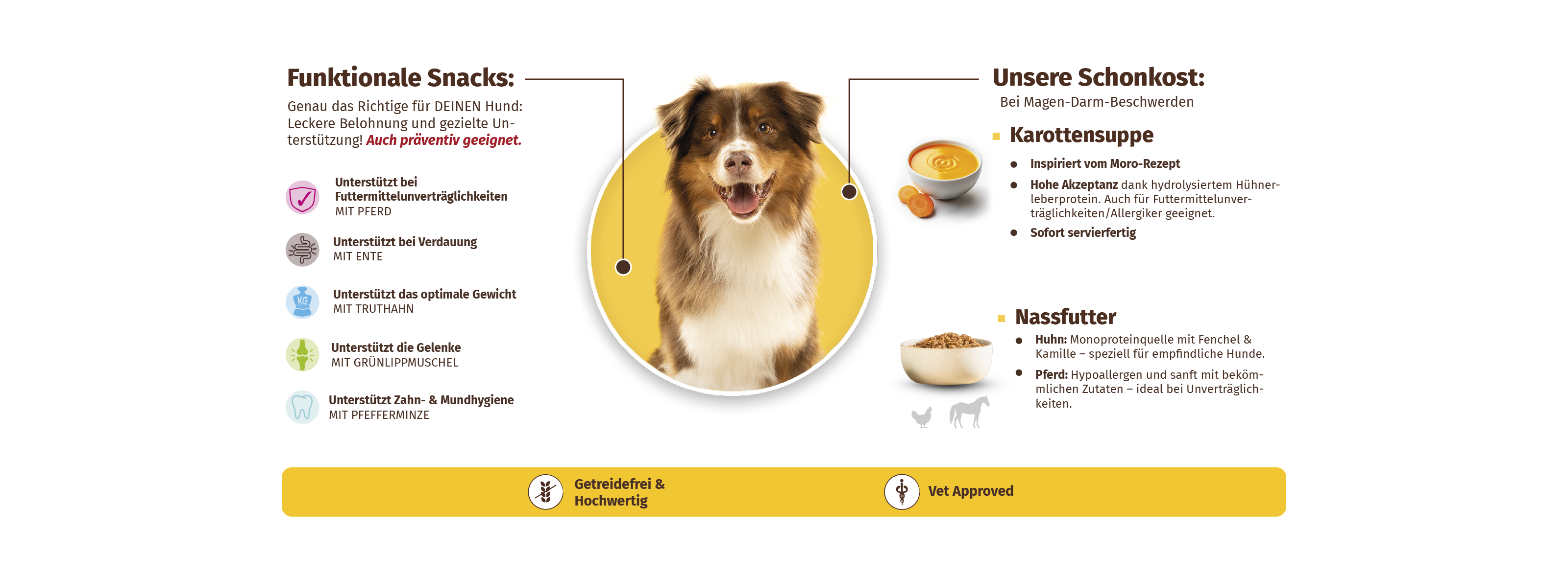 Infografik zu den VetLine Care Produkten: Funktionale Snacks für Hunde mit gezielter Unterstützung – gegen Futterunverträglichkeiten, für Verdauung, optimales Gewicht, Gelenke und Zahn- & Mundhygiene. Ergänzt durch Schonkost für Magen-Darm-Beschwerden wie Karottensuppe und Nassfutter. Getreidefrei, hochwertig und Vet Approved.