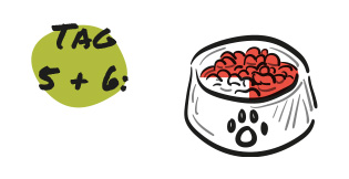 Futterumstellung - Schritt 3