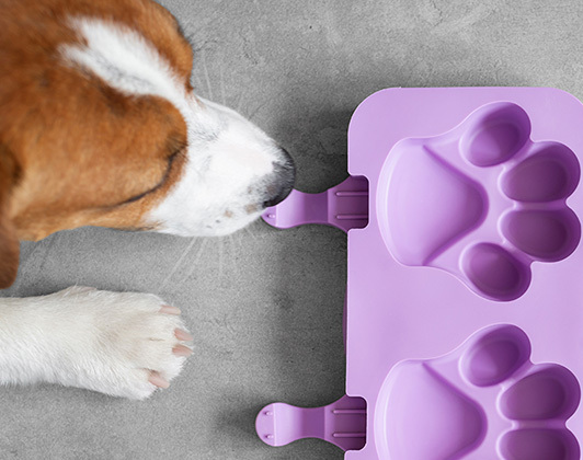 A brown‑and‑white dog sniffing a purple silicone mould with two paw‑shaped cavities, placed on a grey surface, with one of the dog’s paws visible beside it.