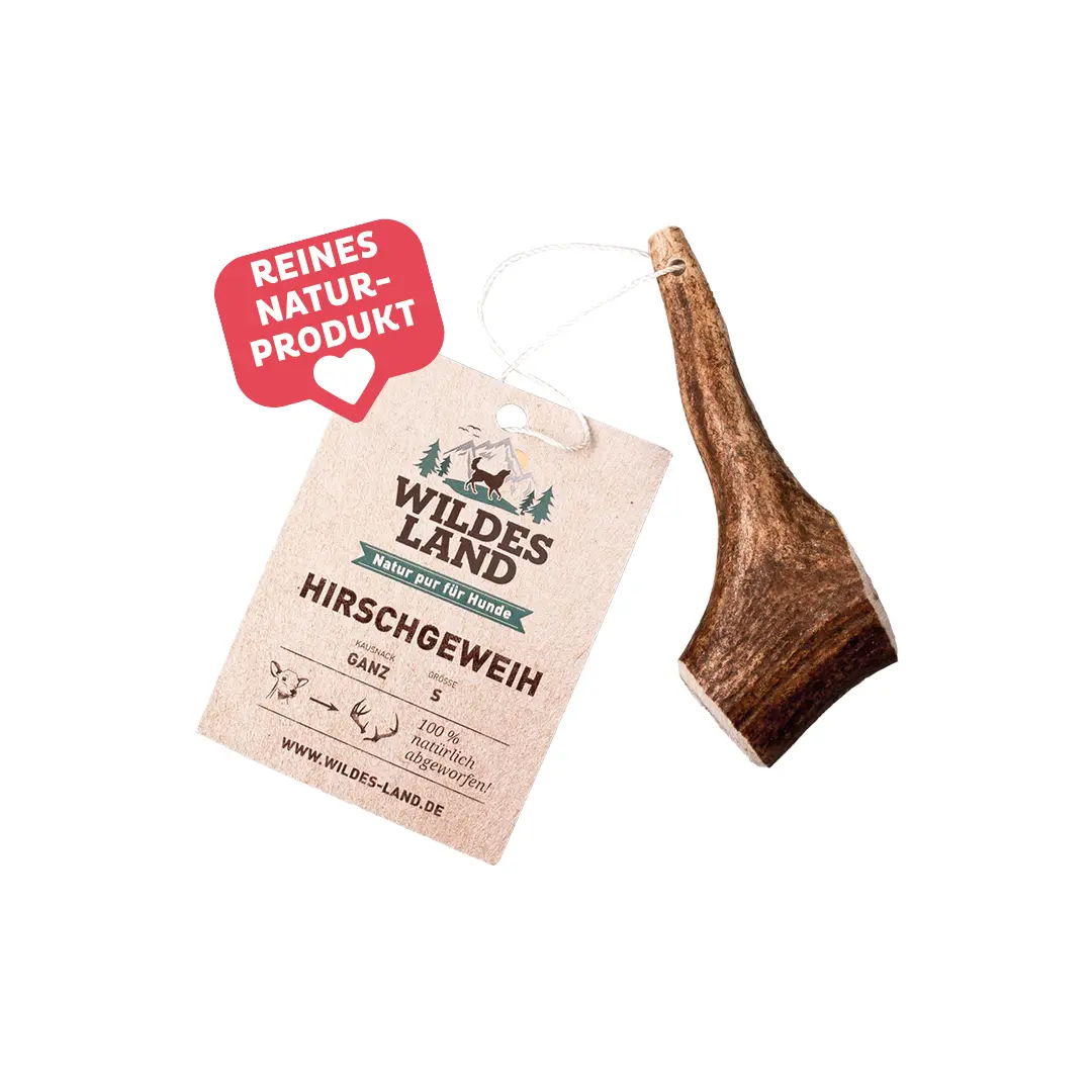 Wildes Land Kauartikel für Hunde:Gesunder Kauspaß für den Hund mit dem reinen Naturprodukt "Hirschgeweih".