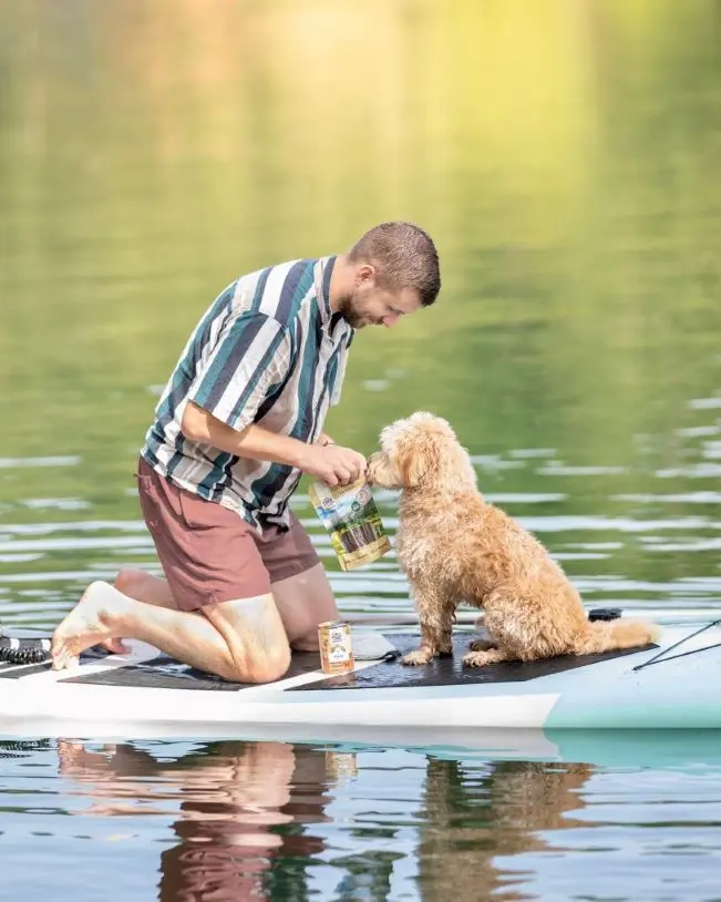 Hundehalter ist im Sommer mit seinem Hund an einem See auf dem SUP und füttert ihm Snacks von Wildes Land.