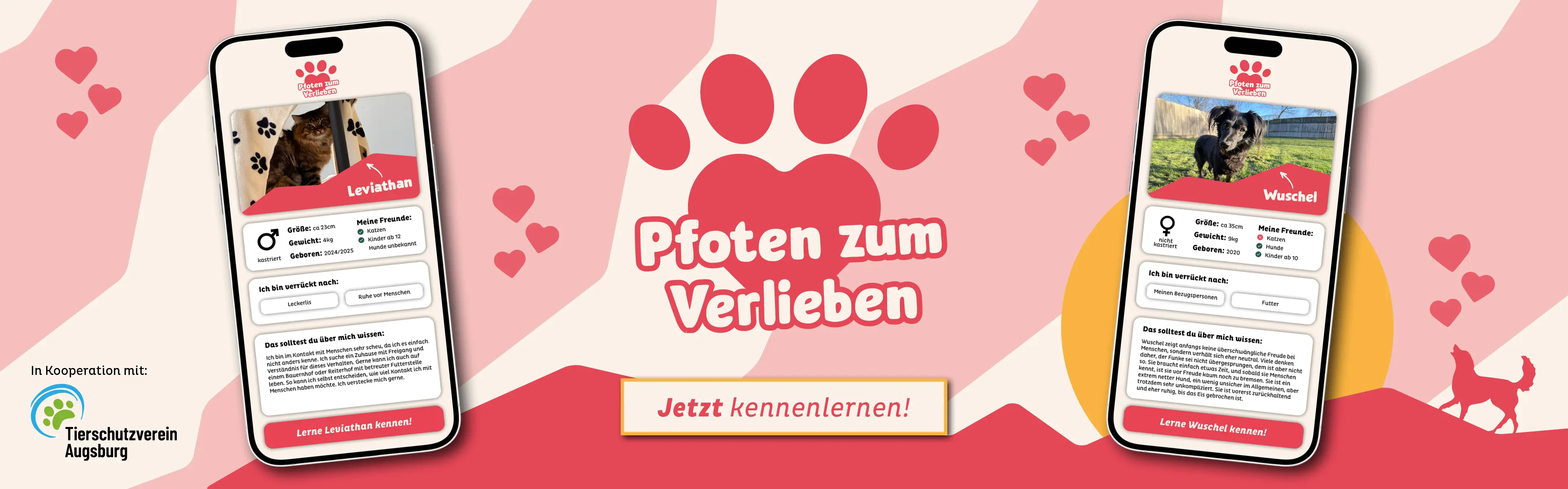 Pfoten zum Verlieben - Finde Dein tierisches Match!