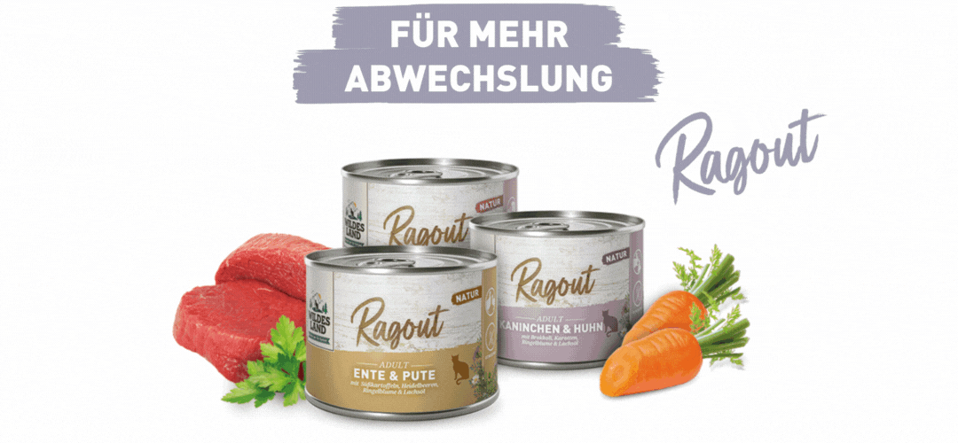 Katzenfutter Soup, Ragout & Filet