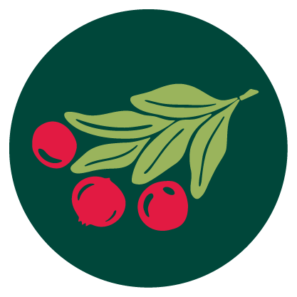 A close-up photo of a bunch of cranberries.