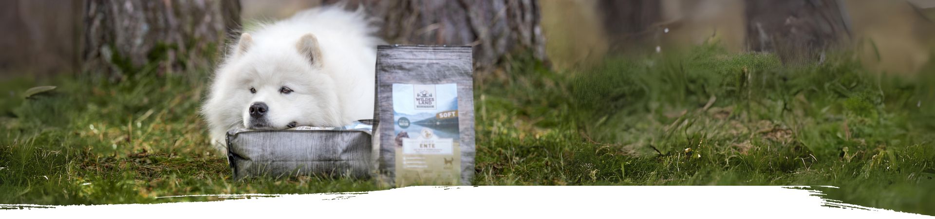 Weißer Hund liegt auf dem Boden hinter einem Sack Softfutter