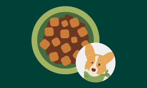 Illustration of a green bowl filled with chunks of brown pet food. In the bottom right corner, there is a circular icon featuring a cartoon corgi wearing a green bandana. The background is dark green.