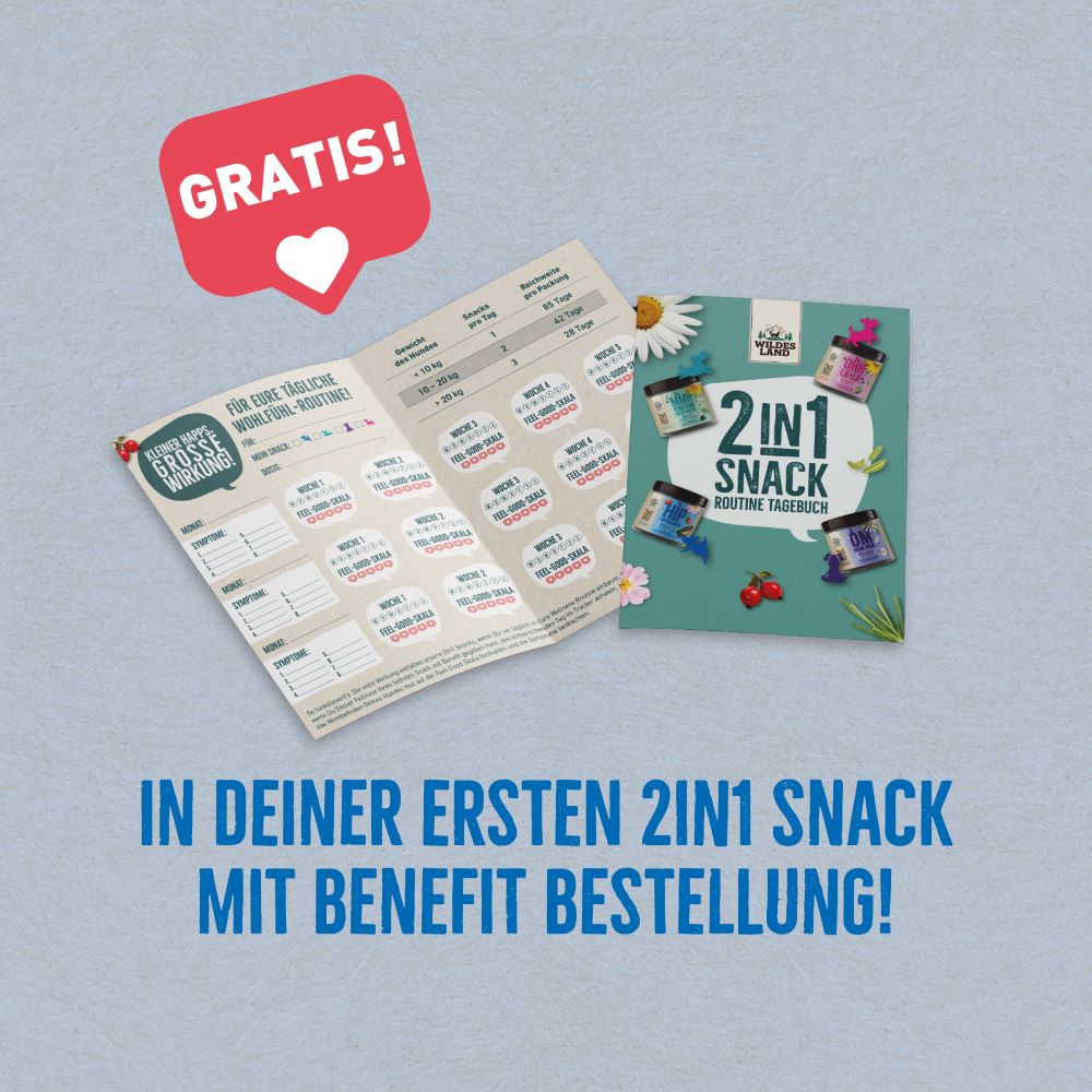 Werbung für das „2in1 Snack Routine Tagebuch“: Kostenlose Beilage bei der ersten „2in1 Snack mit Benefit“-Bestellung, dargestellt mit einem offenen und geschlossenen Tagebuch auf blauem Hintergrund. Hervorgehoben durch eine rote Sprechblase mit „GRATIS!“-Hinweis und einem Herzsymbol.