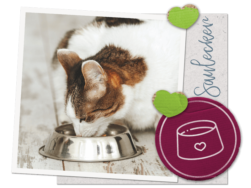 Unsere Futterberatung