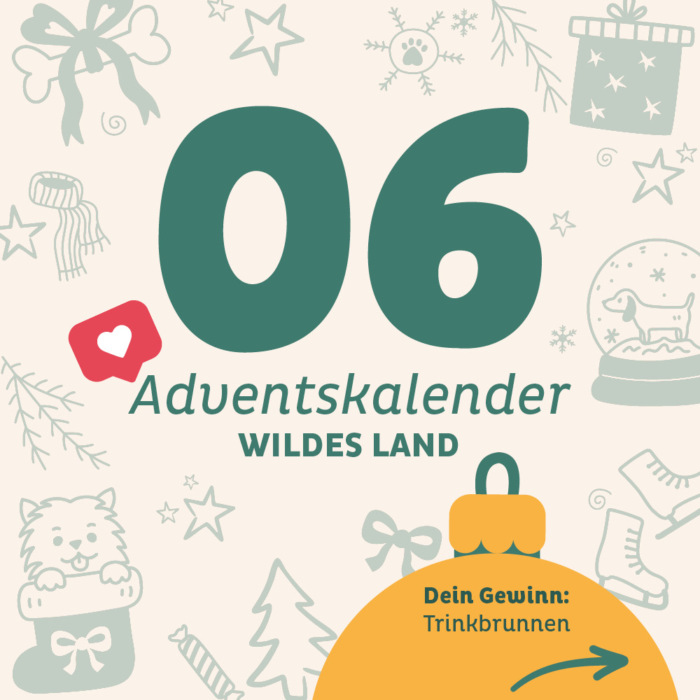 Adventskalender Wildes Land Türchen 6 - Türchen ist abgeschlossen