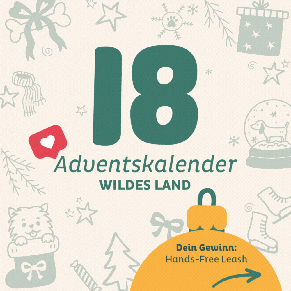 Adventskalender Wildes Land Türchen 18: Hands-Free Leash von Hot Doggies