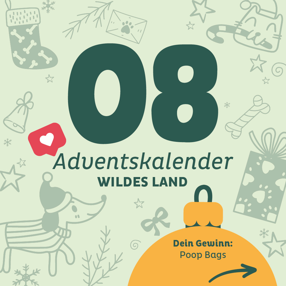 Adventskalender Wildes Land Türchen 8 - Türchen ist abgeschlossen