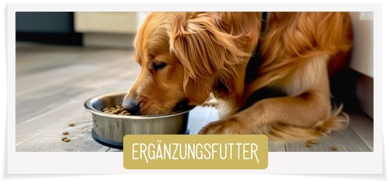 Ergänzung Herrmann's