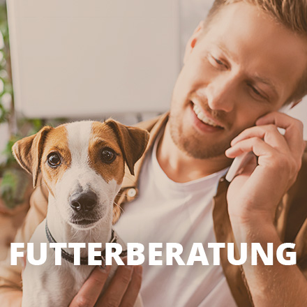 Futterberatung Hund