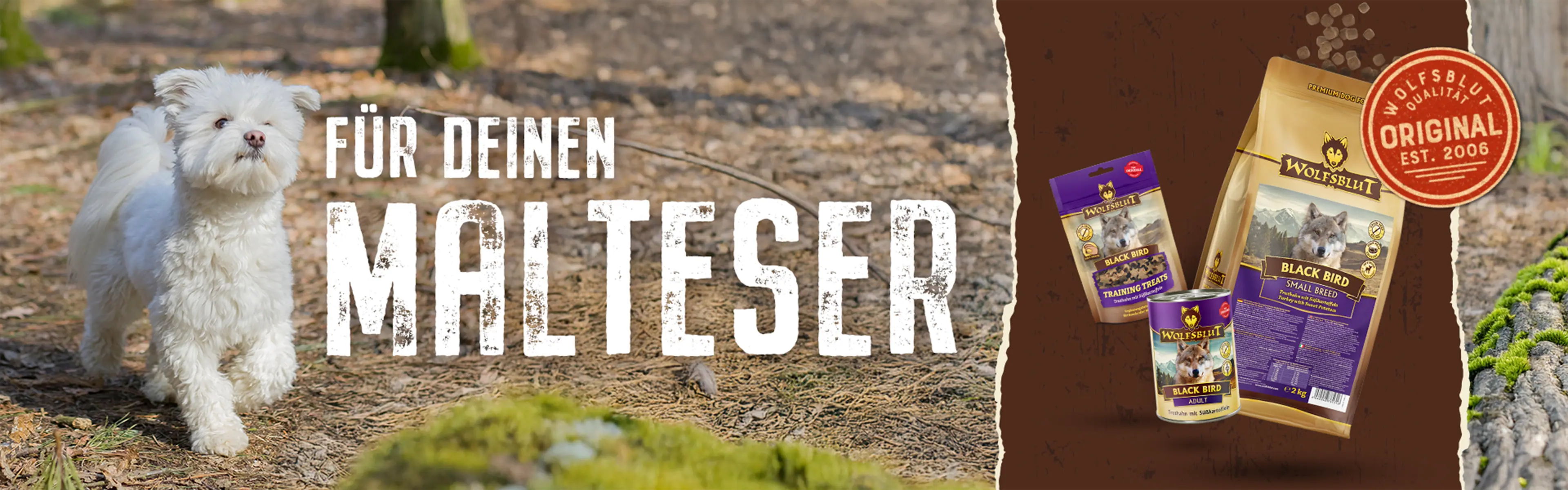 Wolfsblut für deinen Malteser