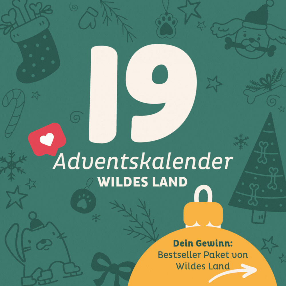 Adventskalender Wildes Land Türchen 19: Bestseller Paket von Wildes Land
