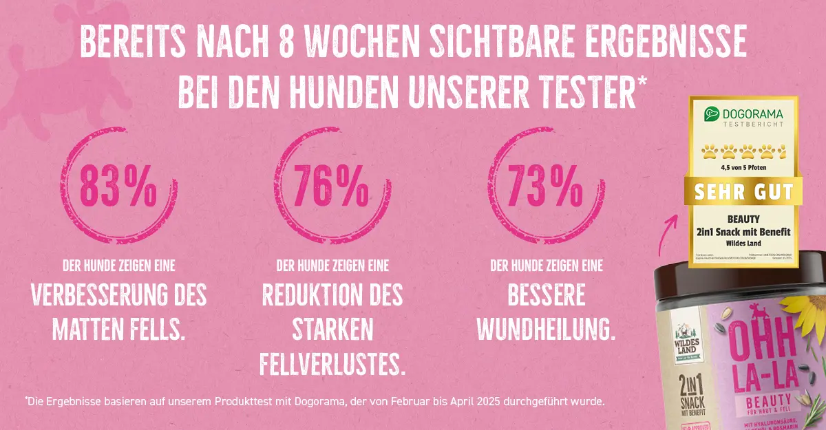 Das Bild zeigt den Wildes Land 2in1 Snack BEAUTY für Hunde mit Testergebnissen: 83 % der Hunde zeigten eine Verbesserung des matten Fells, 76 % eine Reduktion des Fellverlusts, 73 % eine bessere Wundheilung und 71 % eine Linderung des Juckreizes. Oben ist ein Testsiegel von Dogorama mit der Bewertung "Sehr gut" (4,5 von 5 Pfoten) abgebildet.