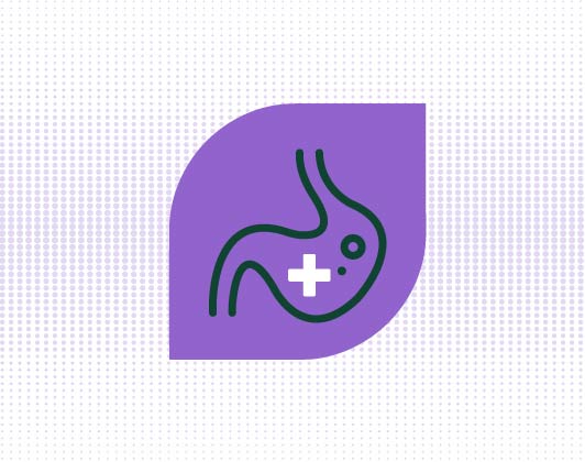 A simple line drawing of a stomach with a medical cross symbol in dark green on a purple leaf-shaped background, representing digestive health or stomach care.