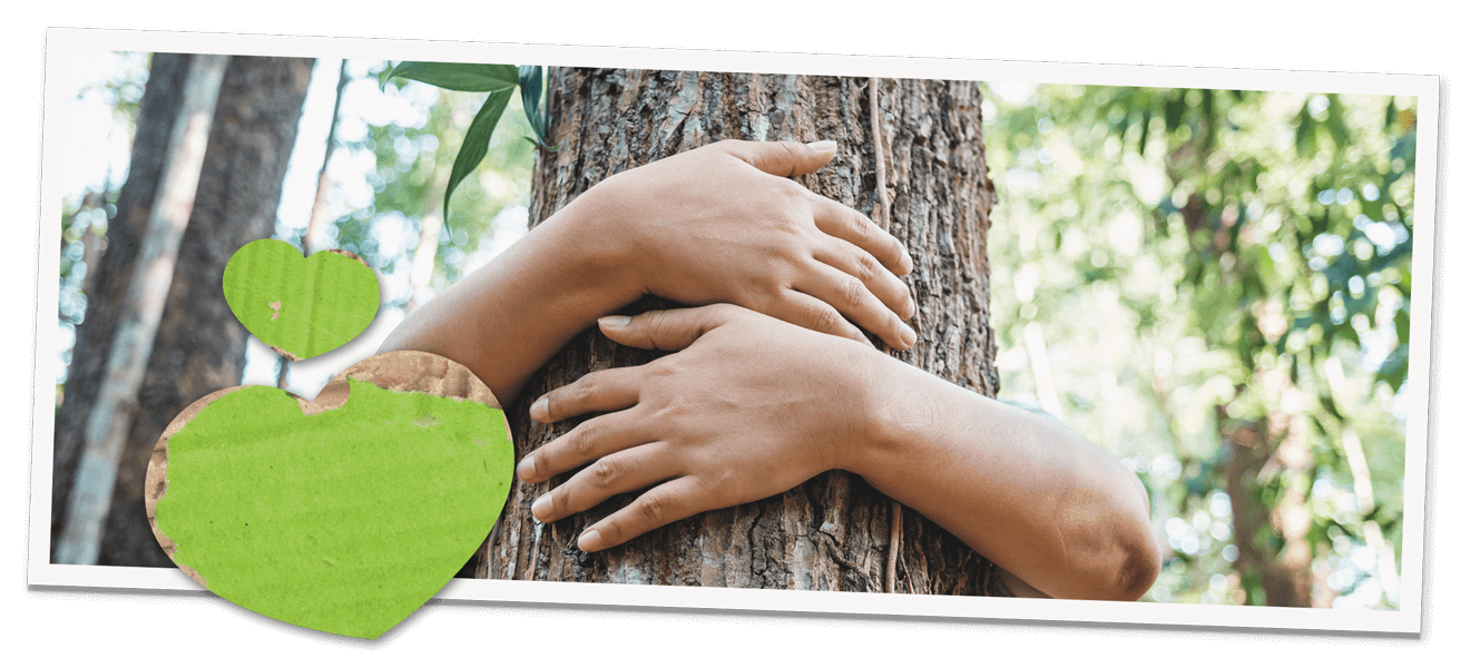 Biozertifikate und Auszeichnungen