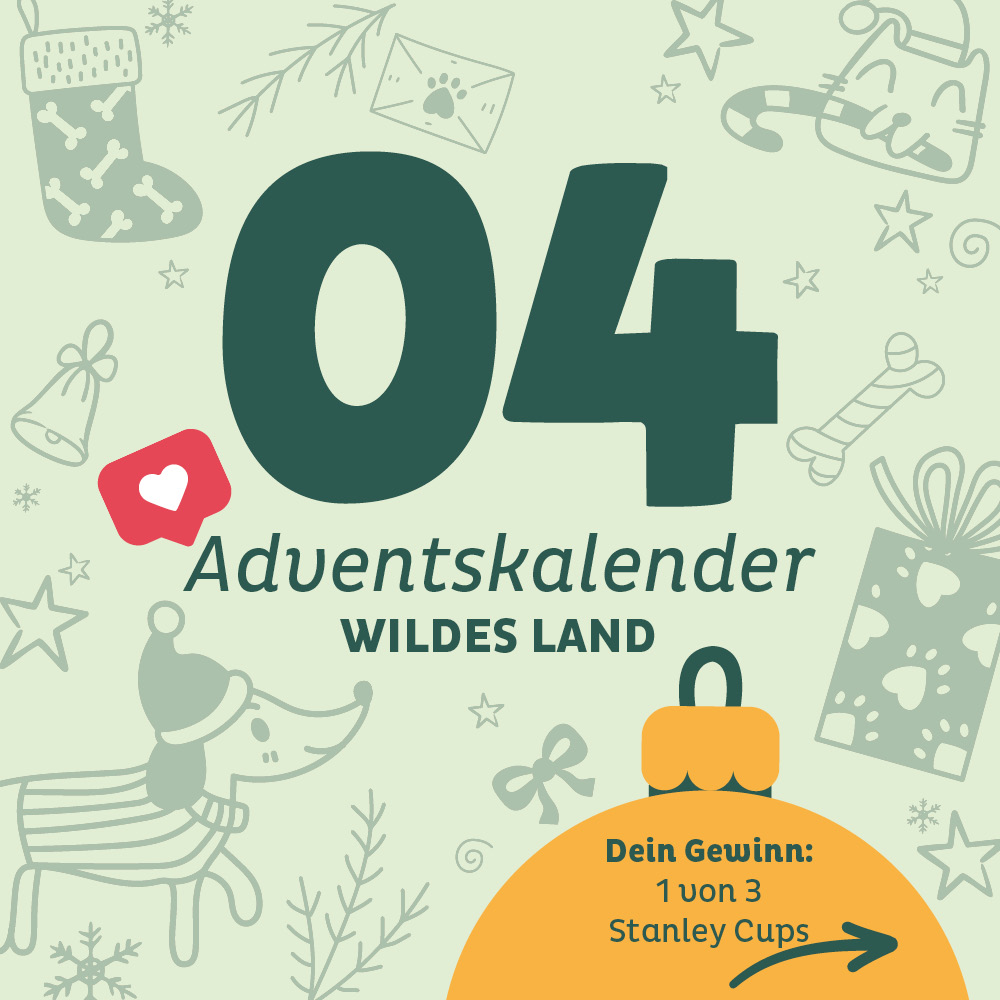 Adventskalender Wildes Land Türchen 4 - Türchen ist abgeschlossen