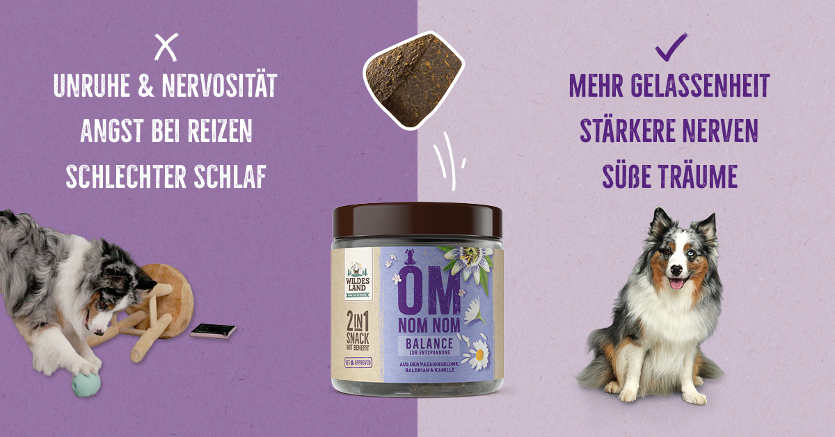 Zweigeteilte Darstellung: Links ein gestresster Hund mit Begriffen wie „Unruhe & Nervosität“ und „Schlechter Schlaf“. Rechts ein entspannter, glücklicher Hund mit „Mehr Gelassenheit“ und „Stärkere Nerven“, unterstützt durch „2in1 Snack BALANCE“ von Wildes Land, mit Passionsblume, Baldrian und Kamille zur Entspannung.