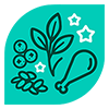 A turquoise square icon featuring illustrations of a chicken drumstick, a sprig of leaves, berries, and grains, surrounded by small stars, representing high-quality, nutritious ingredients.