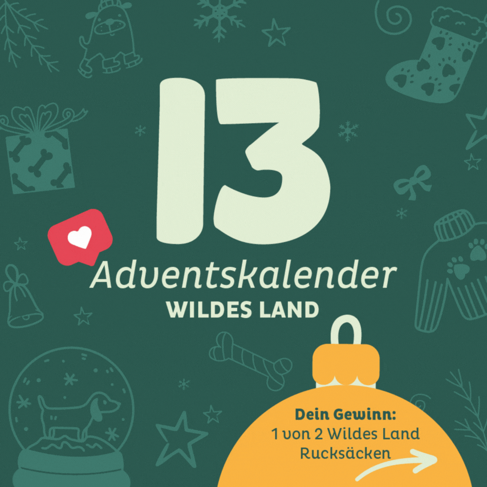 Adventskalender Wildes Land Türchen 13: Wildes Land Rucksack