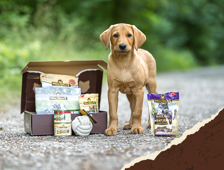 Produktdarstellung des WOLFSBLUT Welpen-Starterkit