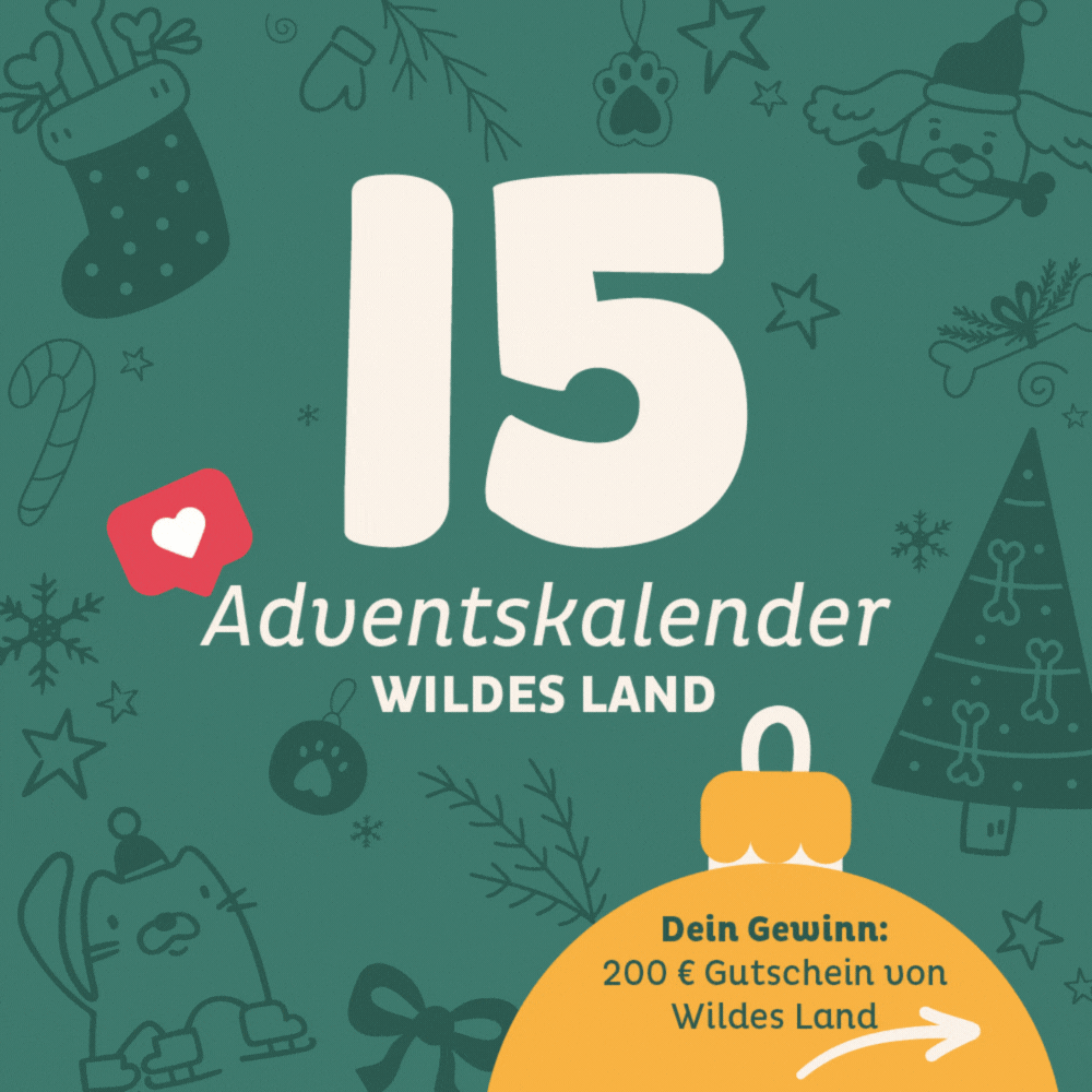 Adventskalender Wildes Land Türchen 15: 200€ Gutschein Wildes Land