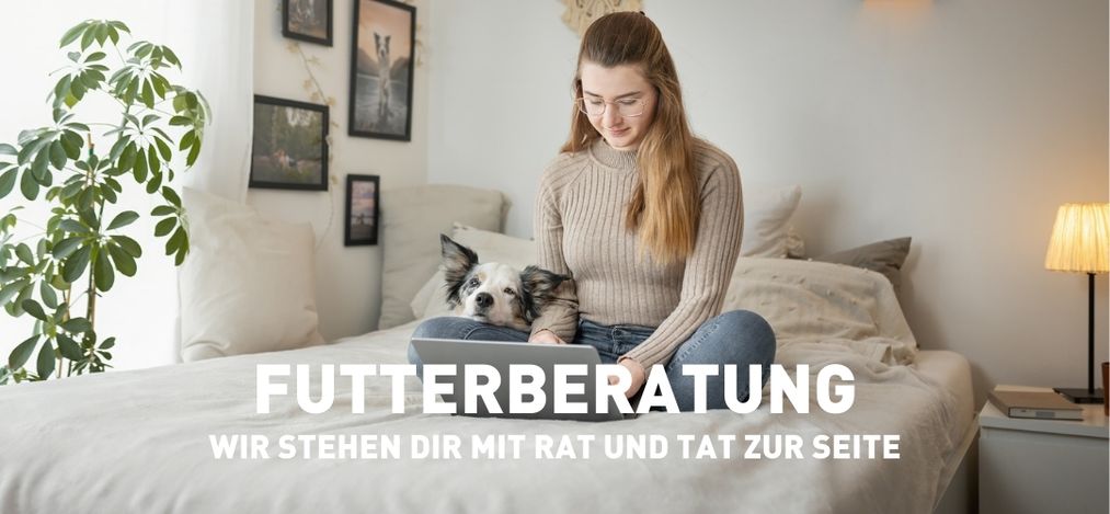 Hund und Frau sitzen vor dem Laptop