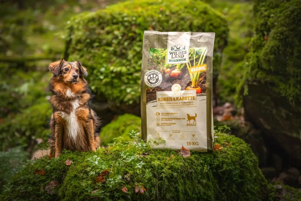 Ein brauner Hund sitzt auf bemoosten Steinen, neben ihm ein großer Sack PawPrint Trockenfutter Veggie.