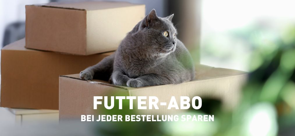 Eine graue Katze sitzt entspannt auf einem Kartonstapel und blickt nach rechts. Die Szene ist in einem hellen, gemütlichen Raum mit unscharfem Hintergrund und grünen Pflanzen im Vordergrund. Darunter steht in weißer Schrift: „FUTTER-ABO – Bei jeder Bestellung sparen.“ Das Bild vermittelt Komfort und Bequemlichkeit, im Einklang mit den Vorteilen eines Futter-Abonnements.