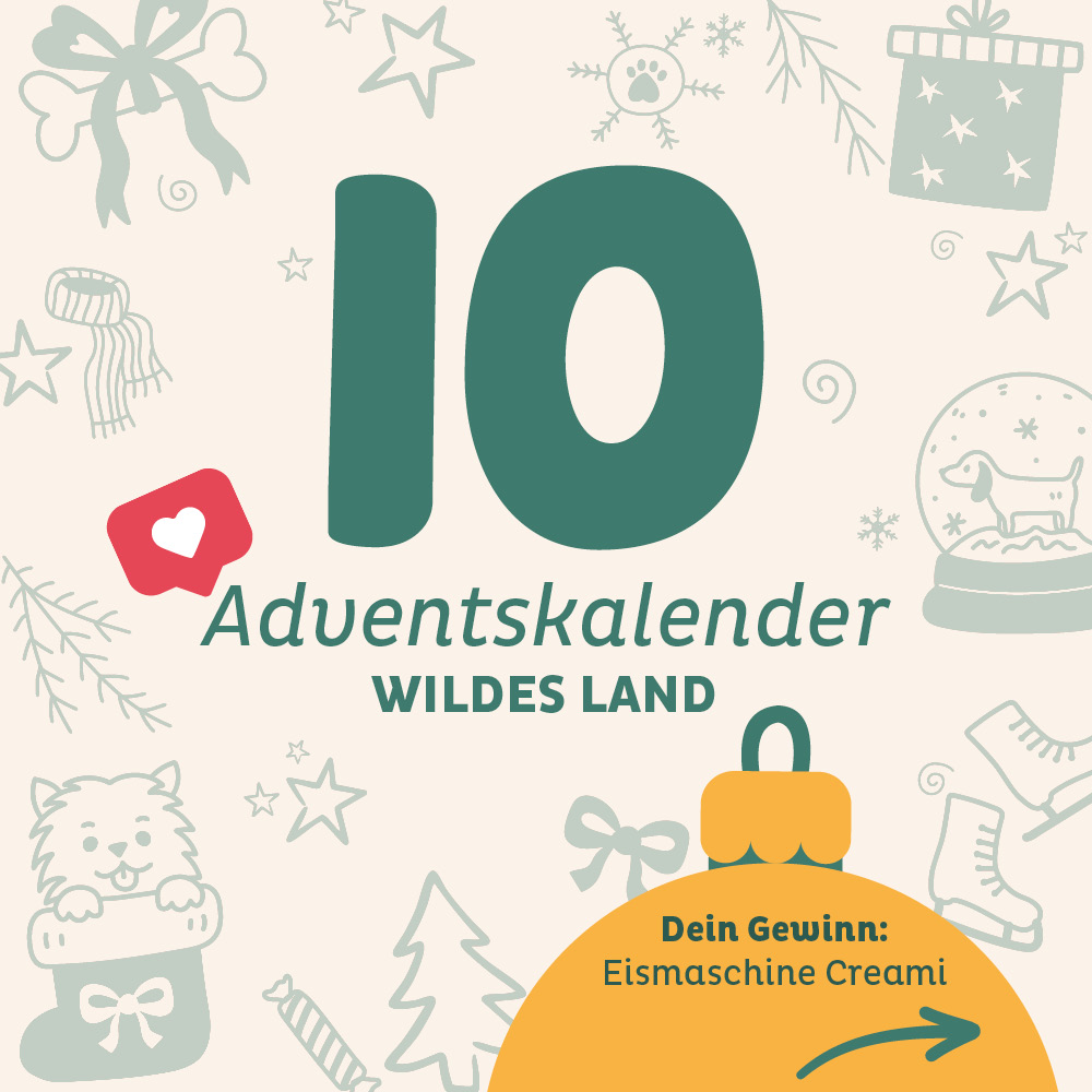Türchen abgeschlossen - Adventskalender Wildes Land Türchen 10: Eismaschine Creami von Ninja