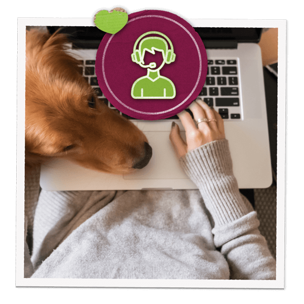 Hund neben offenem Laptop