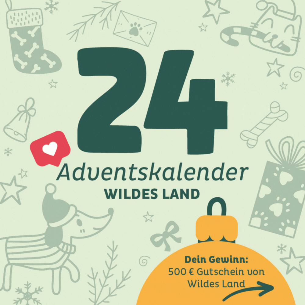 Adventskalender Wildes Land Türchen 24: 500€ Gutschein von Wildes Land