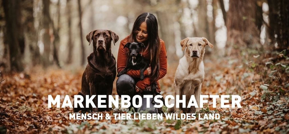 Hund und Katze sitzen mit Frau am Laptop