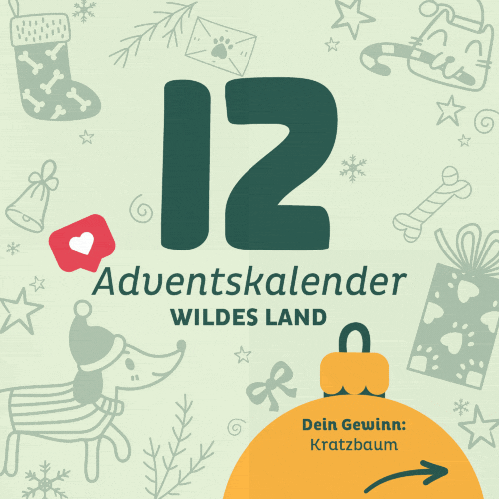 Adventskalender Wildes Land Türchen 12: Kratzbaum von Costway