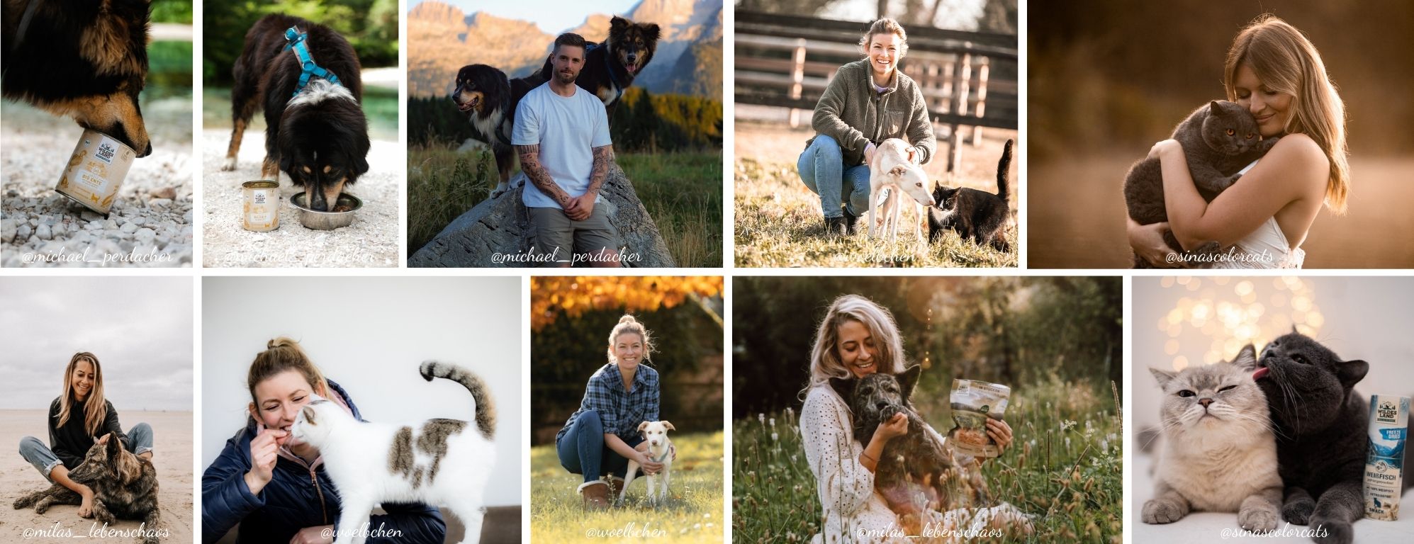 Bilder von unsren Marketnbotschaftern im Wildes Land Team und ihrern tierischen Begleitern