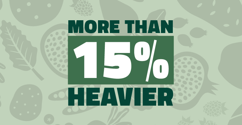 Graphic with the text 'More than 15% Heavier' in bold white and dark green lettering on a light green background with faint illustrations of fruits and vegetables.