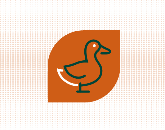 Orange leaf-shaped icon featuring the outline of a duck, symbolising duck meat or poultry ingredients.