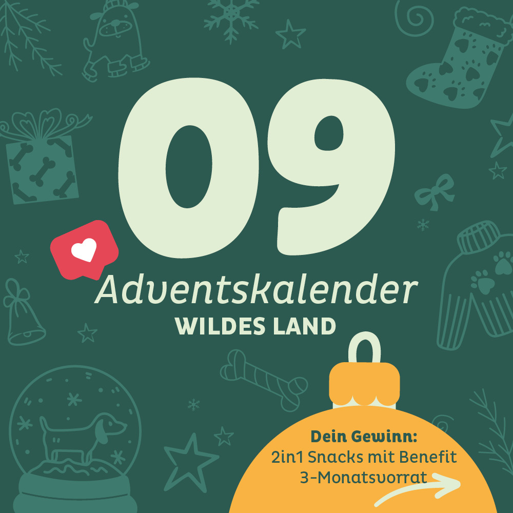 Adventskalender Wildes Land Türchen 9 - Türchen ist abgeschlossen