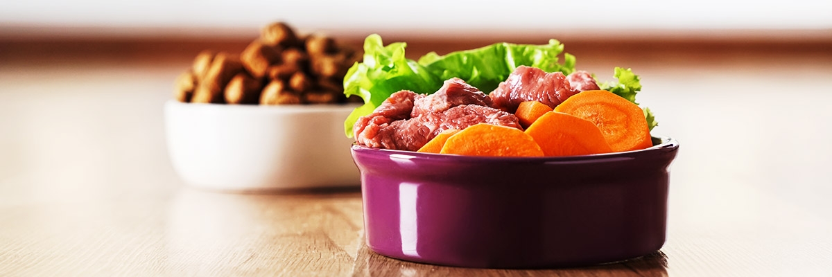 Nassfutter oder Trockenfutter