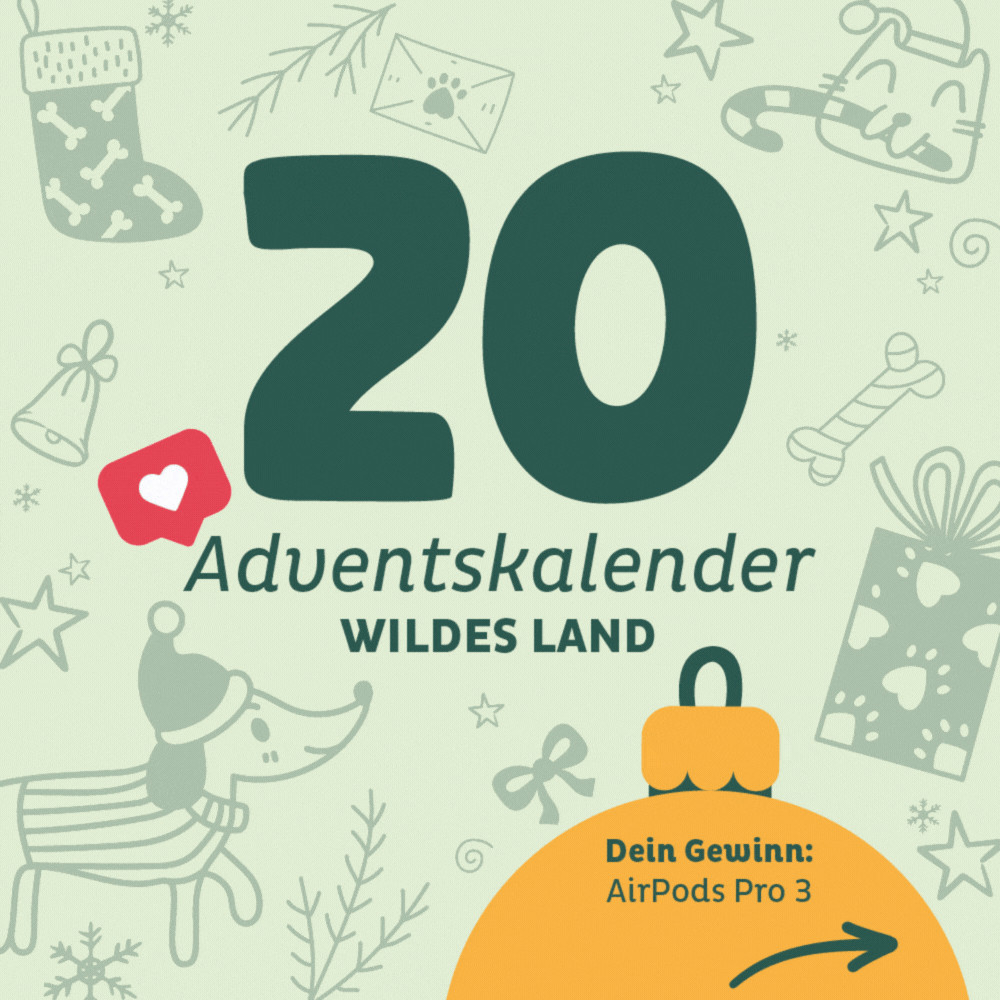 Adventskalender Wildes Land Türchen 20: AirPods Pro 3