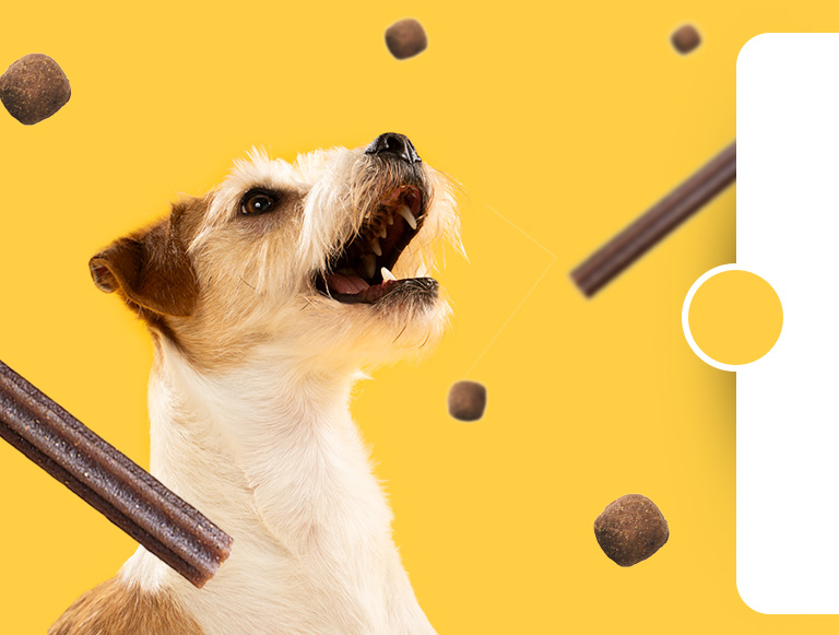 Ein Hund wird von seinem Besitzer mit Wolfsblut VetLine Care Snacks gefüttert.