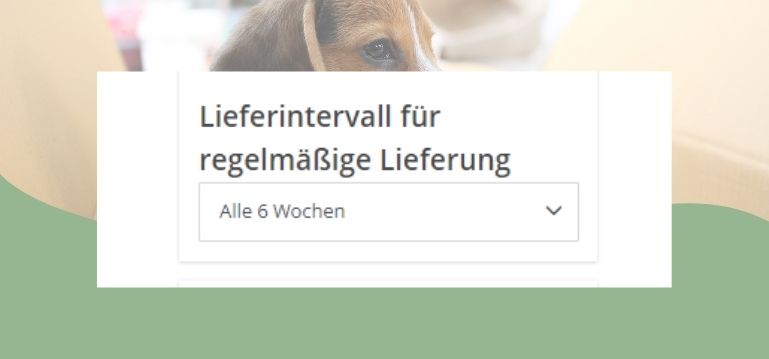 Lieferintervall