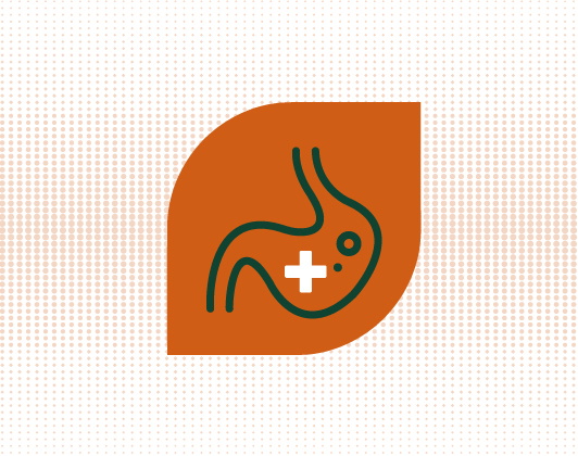 Orange leaf-shaped icon featuring a stylised stomach with a white medical cross, symbolising digestive health or gut support.