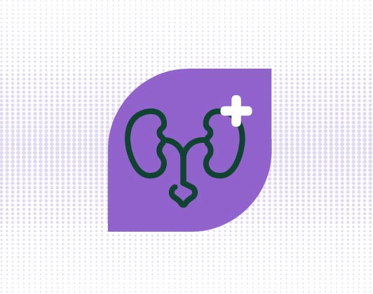 A simple line drawing of a urinary tract system with a medical cross symbol in dark green on a purple leaf-shaped background, representing urinary health support.