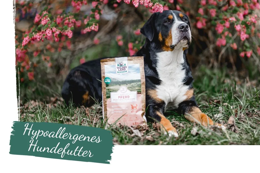 Ein großer, schwarz-brauner Hund liegt im Gras vor einer Packung „Wildes Land“-Hundefutter Pferd, während rosa Blüten den Hintergrund schmücken. Die Szene betont die Natürlichkeit und Qualität des hypoallergenen Futters.