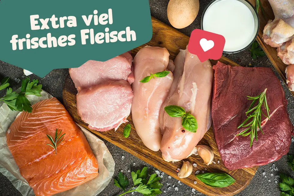 Frisches Fleisch: Lachs, Hähnchen, Rind und Zutaten wie Basilikum und Rosmarin. Text: 'Extra viel frisches Fleisch